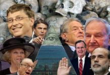 Nebunia New World Order